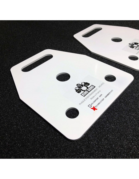 2 plaques d'entraînement SWIMMER 3kg - KING GONG