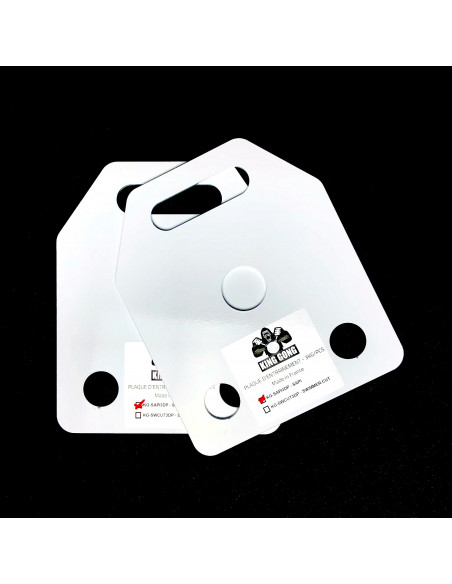 2 plaques d'entraînement SAPI 3kg - KING GONG
