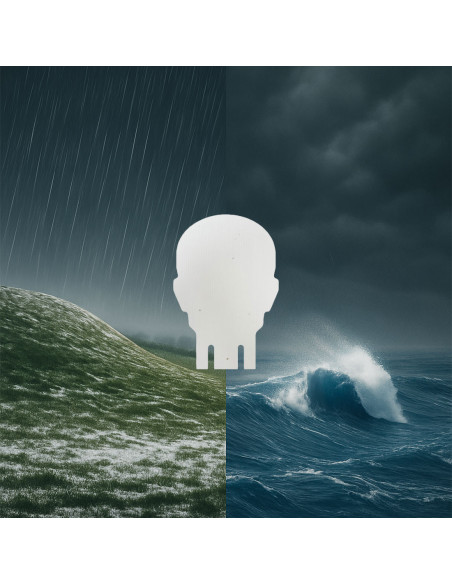 KING GONG – Boite de 50 Silhouettes Humaines Imputrescibles StormLine Predator® 1:1