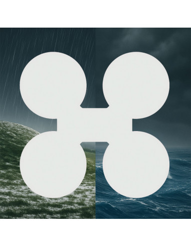 KING GONG StormLine 7-Inch Drone Targets – Rot-Proof