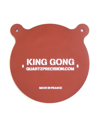 TYGONG 300mm .22 LR Gong – Hardox 450 Steel – Dedicated Intensive Shooting Series