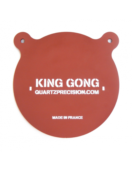 TYGONG 300mm .22 LR Gong – Hardox 450 Steel – Dedicated Intensive Shooting Series