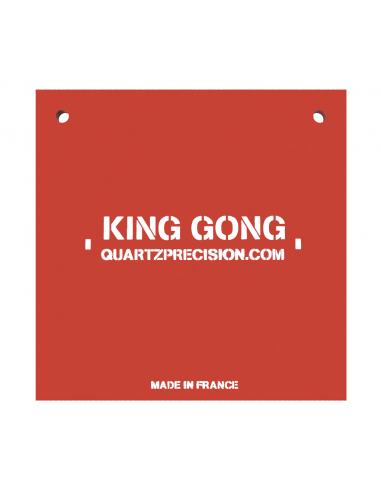 TYGONG Square 300mm .22 LR Gong – Hardox 450 Steel – Dedicated Intensive Shooting Series