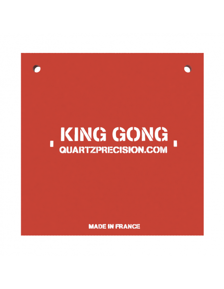 TYGONG Gong Carré 300mm .22 LR – Acier Hardox 450 – Série dédiée tir intensif