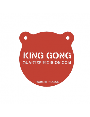 TYGONG Gong 200mm .22 LR – Acier Hardox 450 – Série dédiée tir intensif